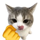 일도복싱체육관 신제주관 | [일산] 주엽 복싱장 추천 🥊 재밌는 복싱 체험 후기!