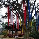 용인시 관광안내소(한국민속촌) 이미지