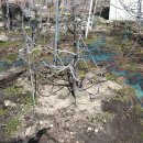 함양(통영) 이미지