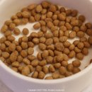 에이치 알 소프트 이미지