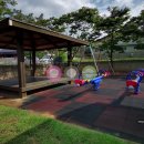 대림초교 병설유치원 이미지