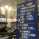 891 | 직장인 여행-상하이 여행 시작, 그랜드 센트럴 호텔 후기(with-KE891)