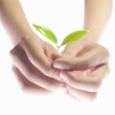 연세나무병원 이미지