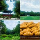 태왕 목욕탕 | 걷기 일상 - 용왕산 (feat. 블루밀 베이커리)