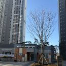 참뜰어린이집 이미지