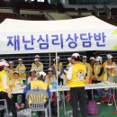 부천체육관 이미지