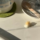 경기도 수원시 팔달구 고화로31번길 | 수원에서 혼자놀기 누크녹행궁점 가챠로운하루 포토오브제 물고기부스