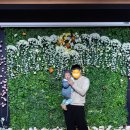 길세이로무시 | [사하구 다대포] 아기랑 먹기 좋은 식당, 가족 외식 추천! 길세이로무시 다대점 활랍스터 후기