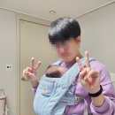 옴니세탁 | 에르고 베이비 아기띠 옴니디럭스 메쉬 / 힙시트 알타 / 개월별 사용후기