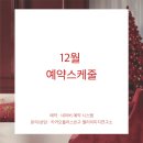 세아힐링연구소 | 홍대퍼스널컬러 합정퍼스널컬러 서울퍼스널컬러진단 퍼스널컬러진단 웜톤쿨톤테스트 립스틱추천 웜톤...