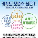 야옹아 놀자 이미지