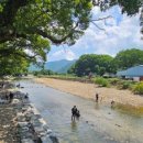 거락마을회관옆 이미지