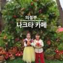 망월로 | 의정부 대형카페 나크타 주차 메뉴 포함 백설공주 재방문 후기