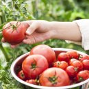 중3-372 R 이미지