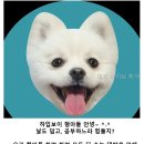 하이브약국 | 대치 하이브 학사 여기서 공부하면 성적 오른다던데