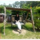 북부초등학교 이미지