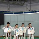 대한민국 태극시범단 이미지