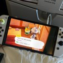 제성기아 | [제주도]제주도여행코스추천 '대우정/아날로그감귤밭/고도칸'