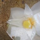 날마다소풍민박 이미지