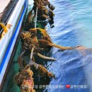 생일도바다수산