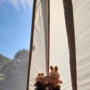 배내별장 이미지