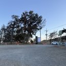 감포인 | 경주 감포 드라이브 오션뷰 디저트 카페 나이프 내돈내산 두쫀쿠 감동 후기