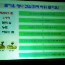 엔티에이치인터내셔널(주)