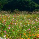 낙동강변9 이미지