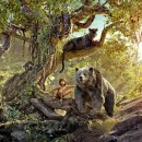 초이스패스 이미지