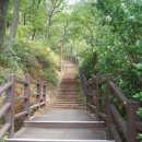 팔용산 등산로 입구 이미지