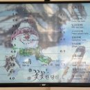 꽃꽃한당신 이미지