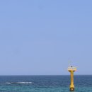 세븐일레븐 사천제일점 | 강릉 사천진해수욕장 물놀이 후기｜파라솔 대여 꿀팁부터 준비물까지