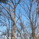 올치까까 이미지