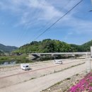 삼층약국 이미지