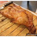 오리한마리 이미지