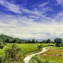 행정사사무소 설빛 이미지