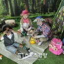 키즈포레스트 이미지