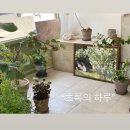 중앙 | 블랙핑크 국중박 다녀왔어요ෆ | 블랙핑크 국립중앙박물관 콜라보 후기