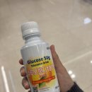 은평오렌지약국 | 은평성모병원 25주 임당검사, 임신성 당뇨검사