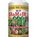 제일농자재 | 관절 영양제 추천 CGN 붕소 3mg 2개월 먹은 솔직 후기