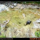 자개골캠핑장 이미지