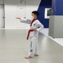 국가대표태권도 예가 이미지