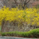 인헌초등학교 이미지