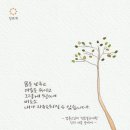 유성불교 이미지