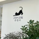 고양이호텔 윤집사 이미지