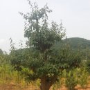 한길농원 이미지