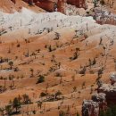 개발부담금행정사 이미지