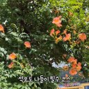 춘하추동회식당