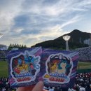 2026년 5월 8일 vs 기아 타이거즈 포켓몬 데이 직관 후기 사직야구장 3루 내야필드 325블럭 6열 시야