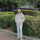 포그니코리아 이미지